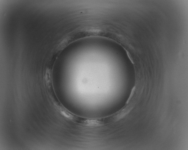 X0000083550528200702091102