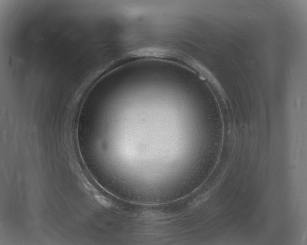 X0000083550529200702091101