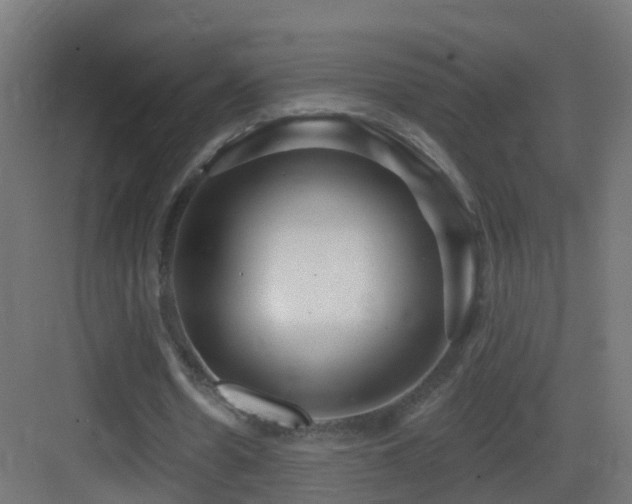 X0000083550530200702091101