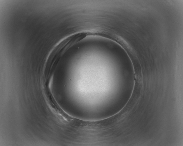 X0000083550532200702091101