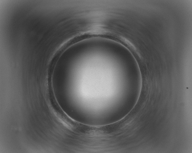 X0000083550535200702091101