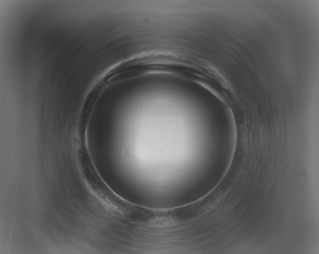 X0000083550536200702091101