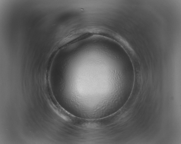 X0000083550537200702091101