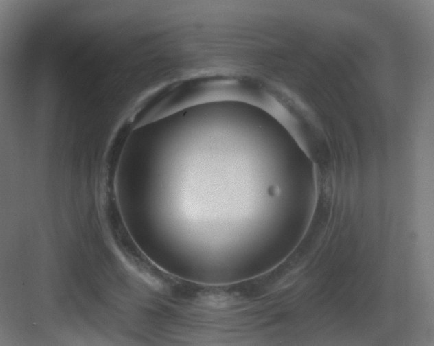 X0000083550540200702091101
