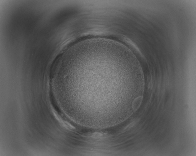X0000083550542200702091101