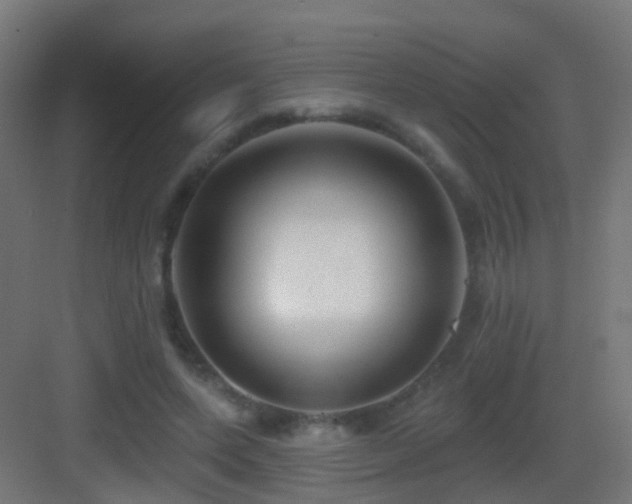 X0000083550543200702091101