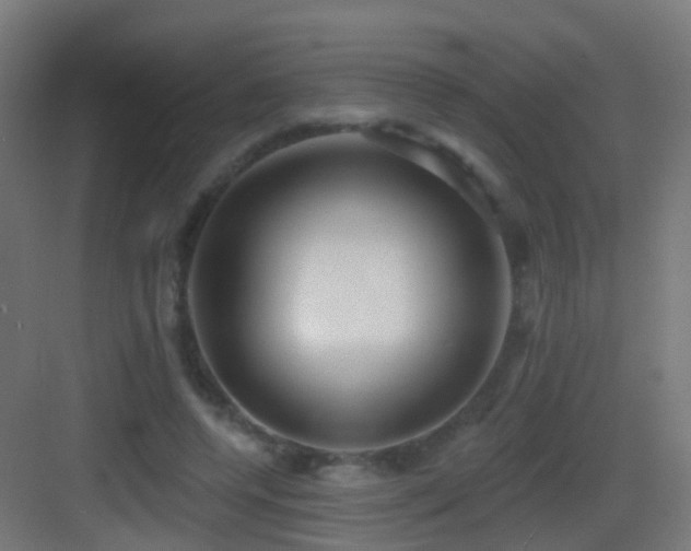 X0000083550544200702091101