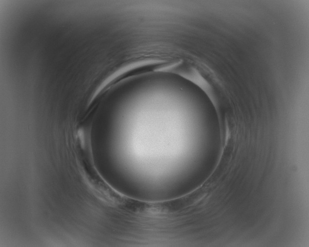 X0000083550546200702091101