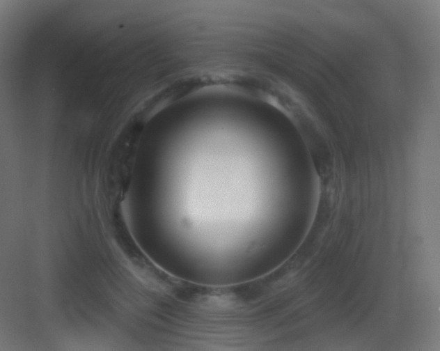 X0000083550548200702091101