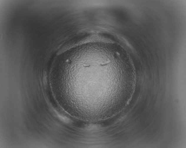 X0000083550549200702091101