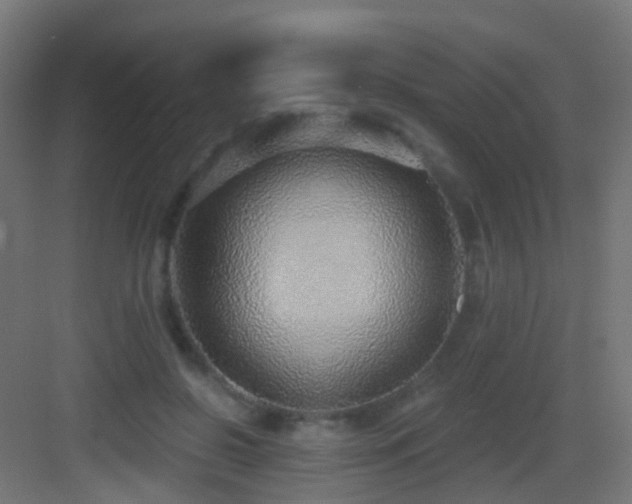 X0000083550550200702091101