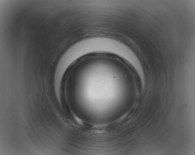X0000083550552200702091101