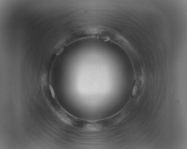 X0000083550556200702091101