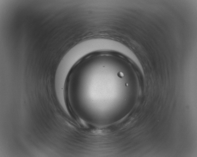 X0000083550558200702091101