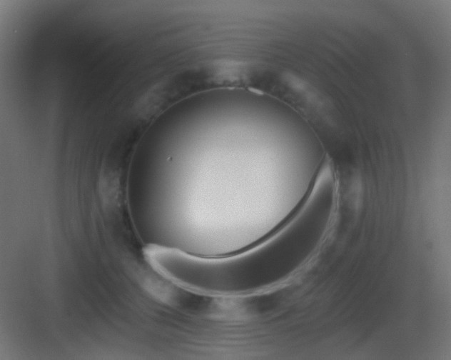 X0000083550560200702091101