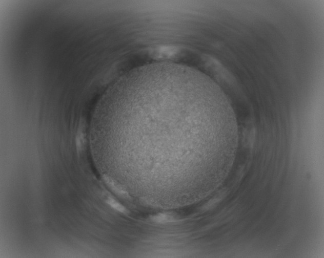 X0000083550561200702091101