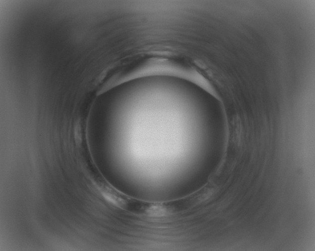 X0000083550562200702091101