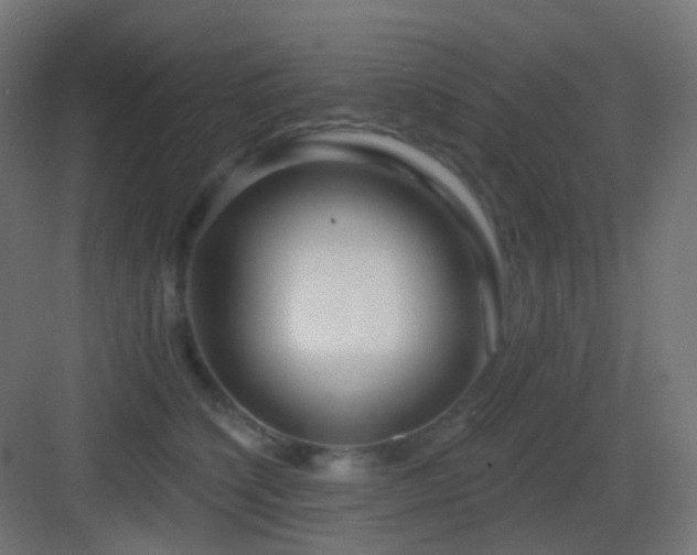 X0000083550564200702091101