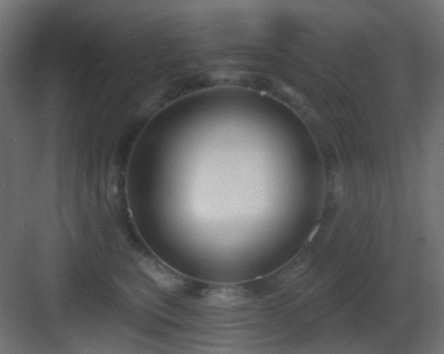 X0000083550567200702091101