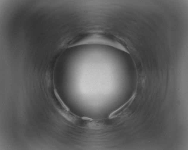 X0000083550568200702091101