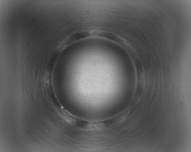 X0000083550571200702091101