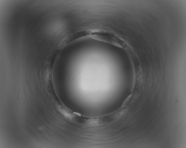 X0000083550574200702091101