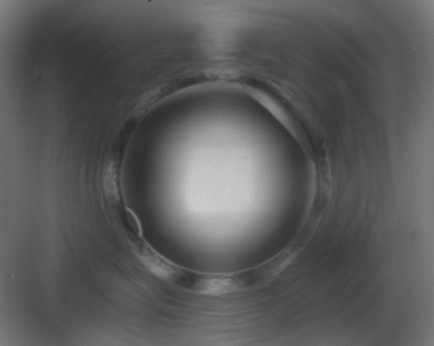 X0000083550575200702091101