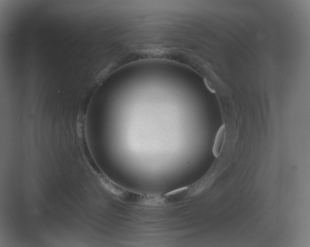 X0000083550576200702091101