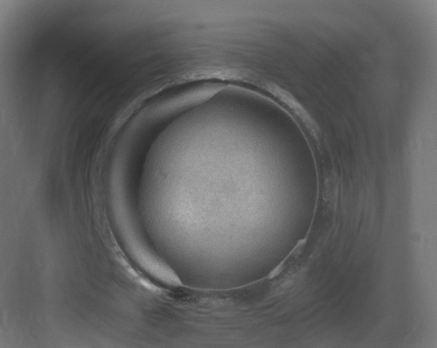 X0000083550577200702091101