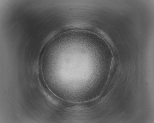 X0000083550578200702091101