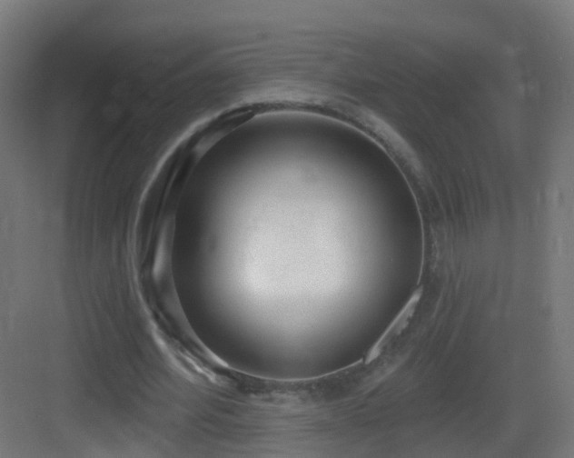 X0000083550580200702091101