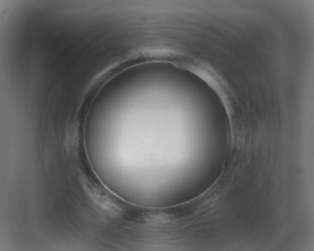 X0000083550583200702091101
