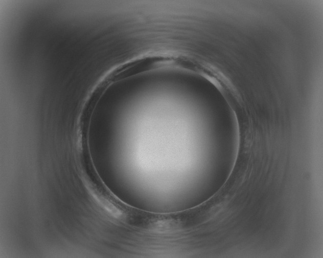 X0000083550584200702091101