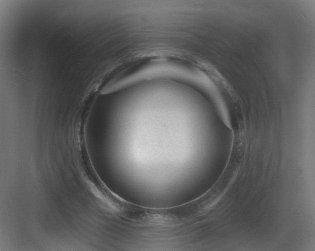 X0000083550585200702091101