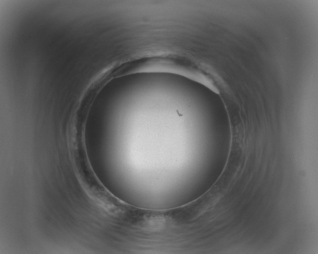X0000083550587200702091101
