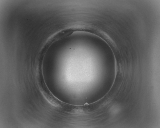 X0000083550588200702091100