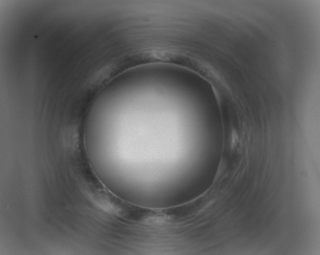 X0000083550595200702091100