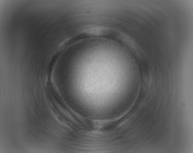 X0000083550596200702091100