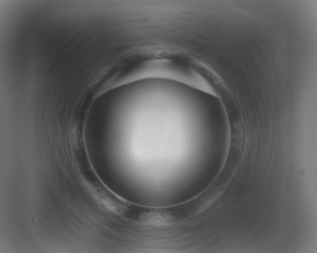 X0000083550597200702091100
