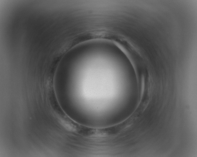 X0000083550601200702091100