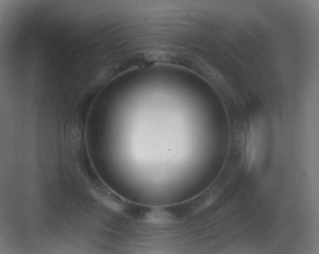 X0000083550603200702091100