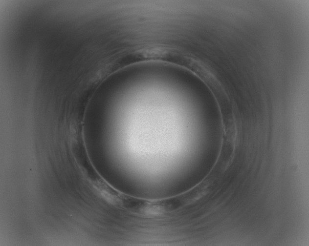 X0000083550604200702091100