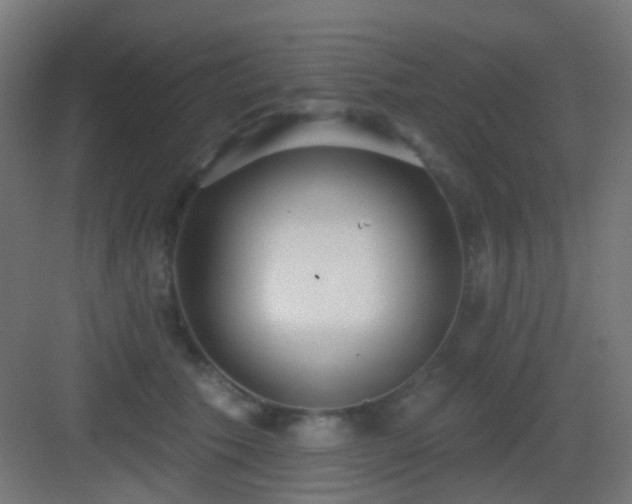 X0000083550609200702091100