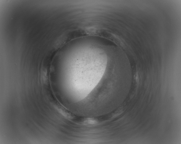 X0000083550610200702091100