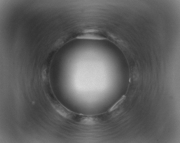 X0000083550611200702091100