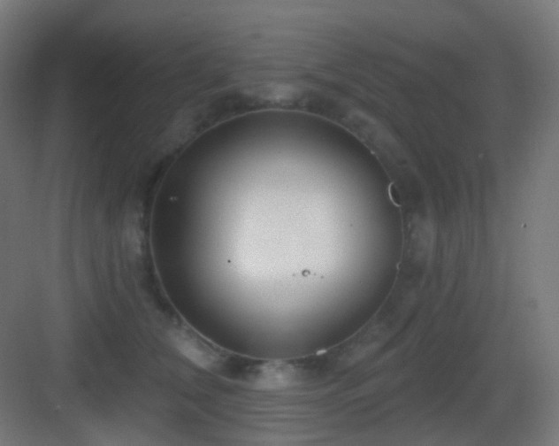 X0000083550612200702091100
