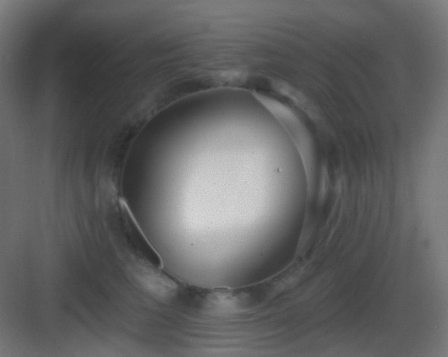X0000083550613200702091100