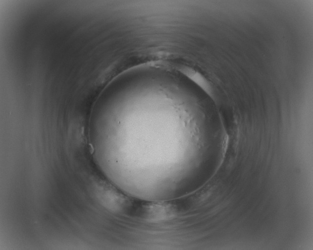 X0000083550615200702091100