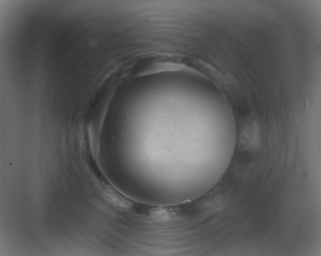 X0000083550616200702091100