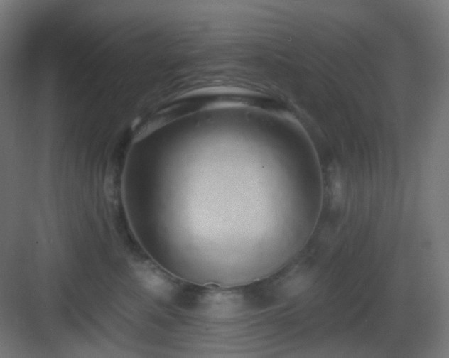 X0000083550619200702091100